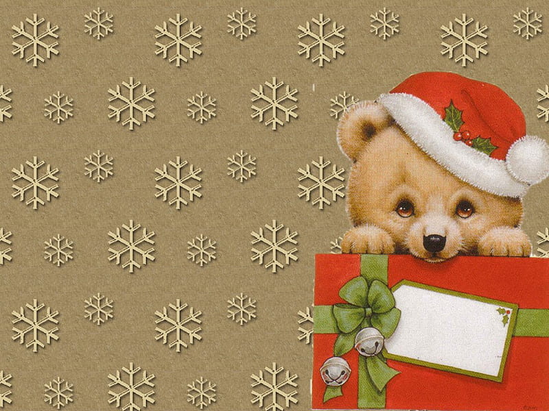 Sweet Christmas bear, bear, gift, holiday, christmas, HD wallpaper | Peakpx