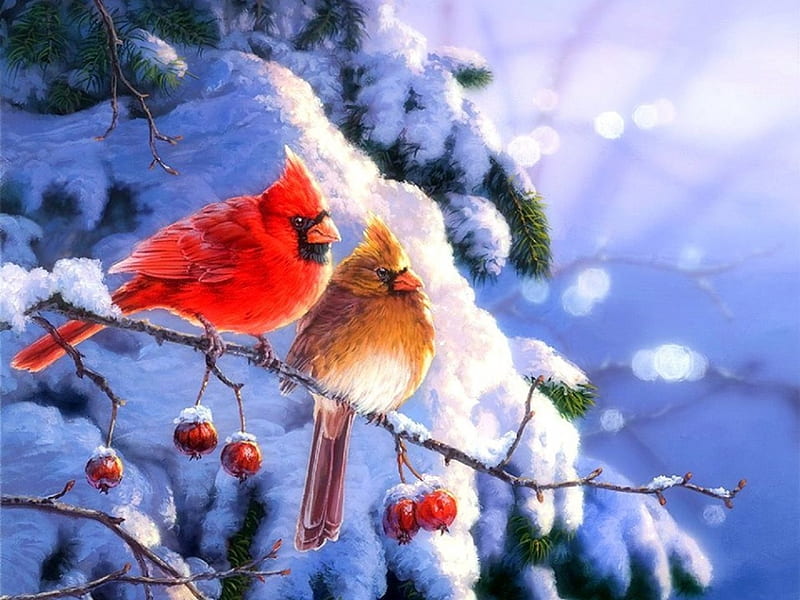 Winter's Gift - Cardinals, holidays, love four seasons, birds, xmas and new year, winter, cardinals, paintings, snow, animals, HD wallpaper