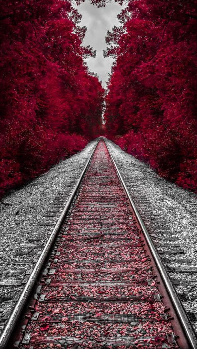 Red road, HD phone wallpaper