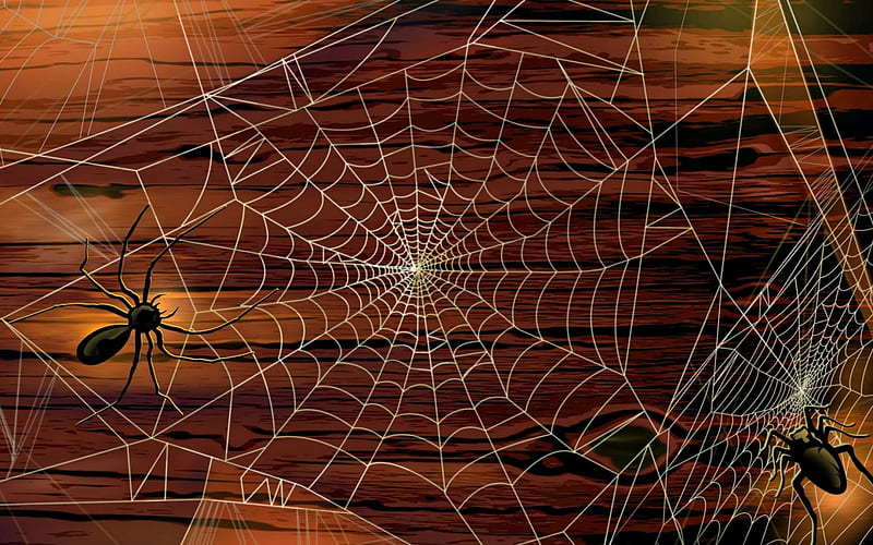 Happy Halloween!, fantasy, brown, halloween, web, spider, wood, HD wallpaper