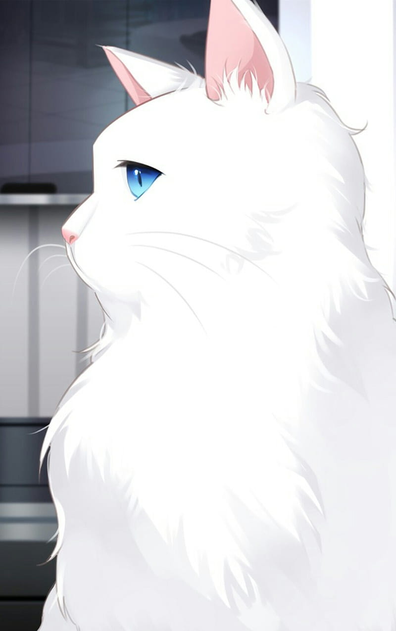 Gato misterioso, anime, ojos azules, gatos, mensajero místico, blanco, gato  blanco, Fondo de pantalla de teléfono HD | Peakpx