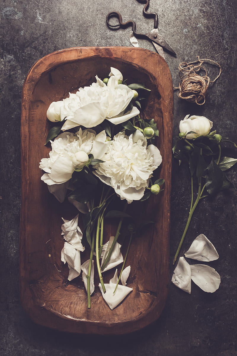 peonies, flowers, petals, bouquet, floristry, white, HD phone wallpaper