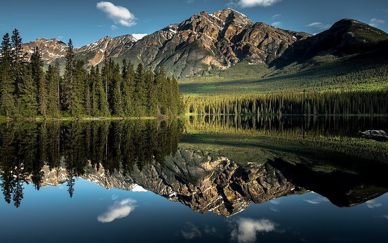 Jasper National Park, reflection, forest, lake, mountain, Alberta, Canada, HD wallpaper