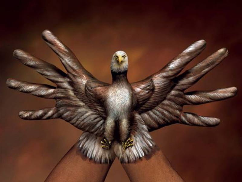 Visión de águila, arte encantador, notablemente realista, Fondo de pantalla  HD | Peakpx