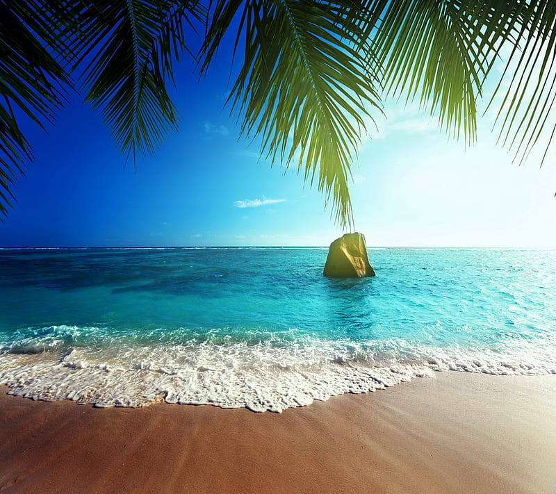 Tropical Beach, coast, palm, paradise, sand, sea, summer, HD wallpaper ...