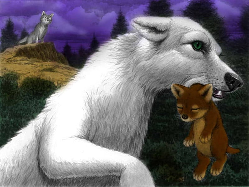Wolves of the Beyond, wolf, books, wolves, HD wallpaper