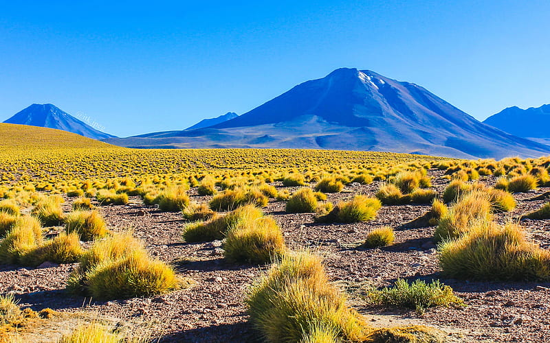 A bright and colorful alien landscape out in Chile's Atacama Desert, sky, plants, landscape, mountains, HD wallpaper