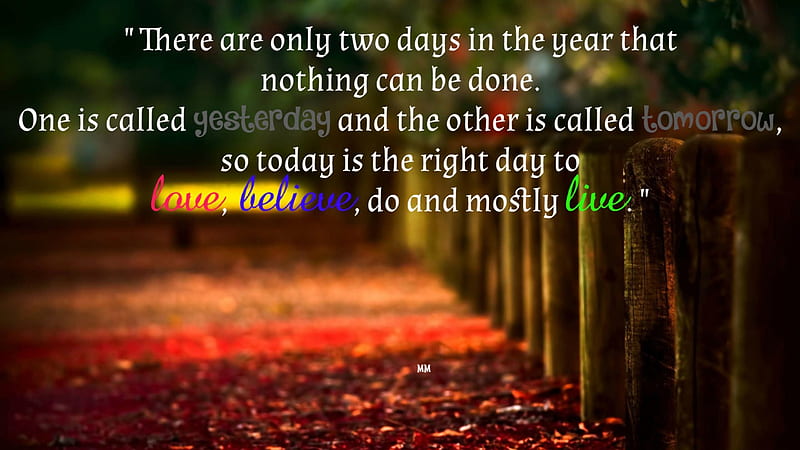 Two Days, Words, Life, Path, Thoughts, Nature, Quotes, HD wallpaper