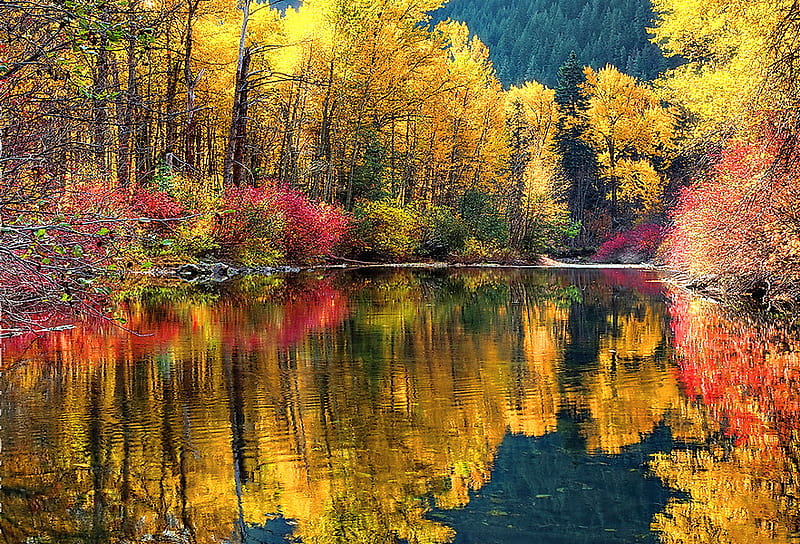 October lake, red, autumn, orange, colors, trees, lake, leaves, gold ...