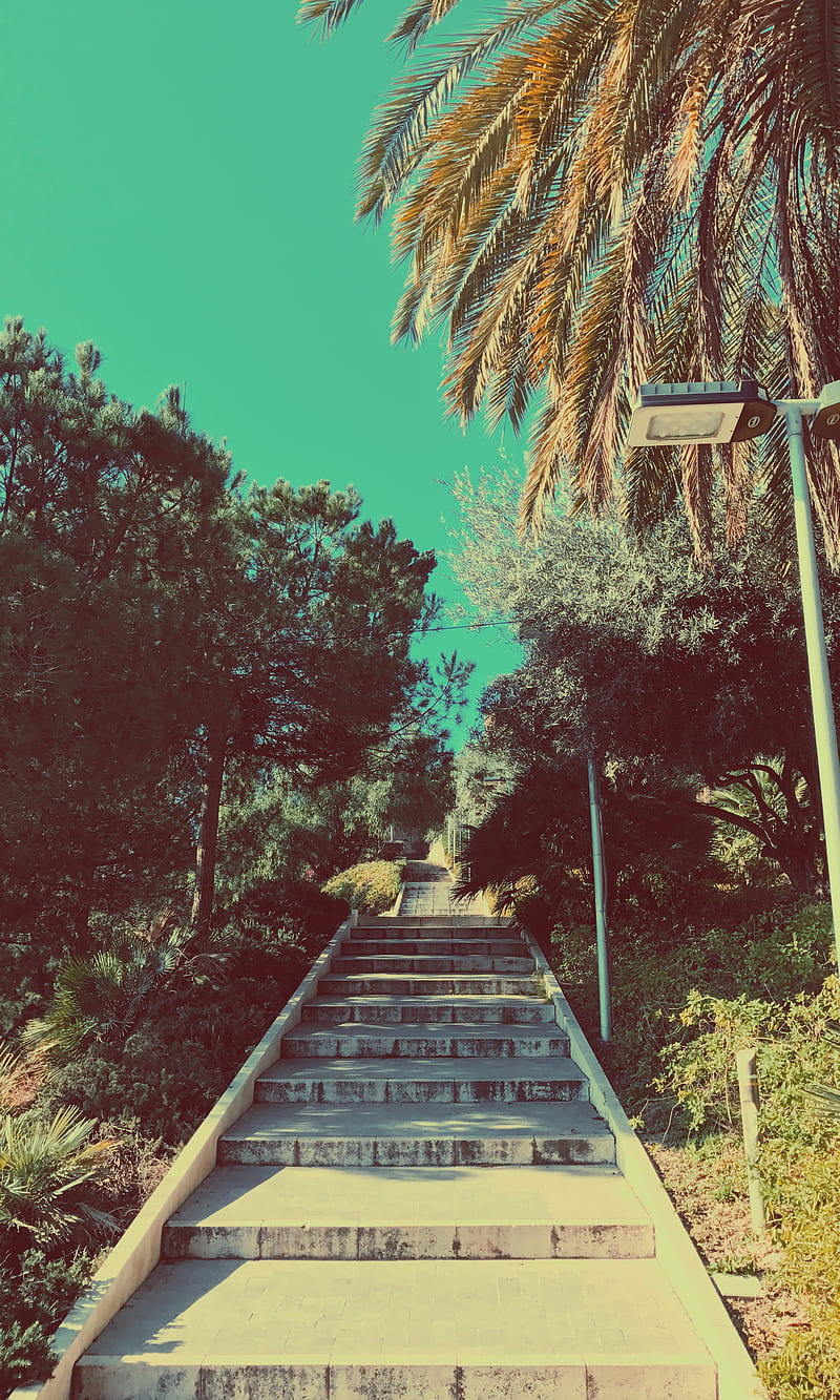 Summer Stairs, blue, spain, trees, vibrant, HD phone wallpaper