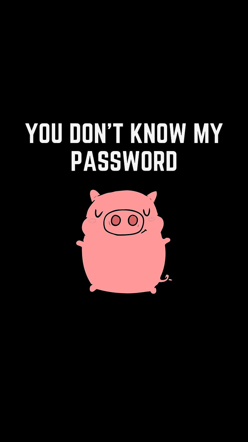 Funny Lockscreen Pun, Fool, Joke, You don't know my password, crazy, cute  pig, HD phone wallpaper | Peakpx
