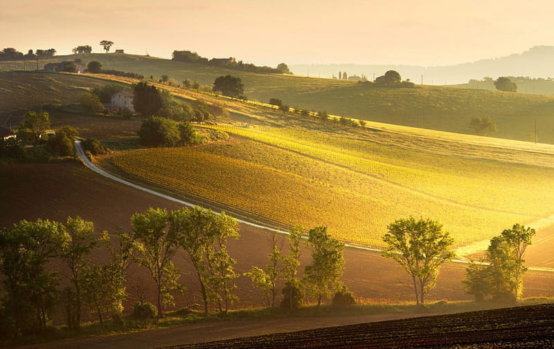 Italian Landscape, Landscape, Beauty, Europe, Italy, HD wallpaper
