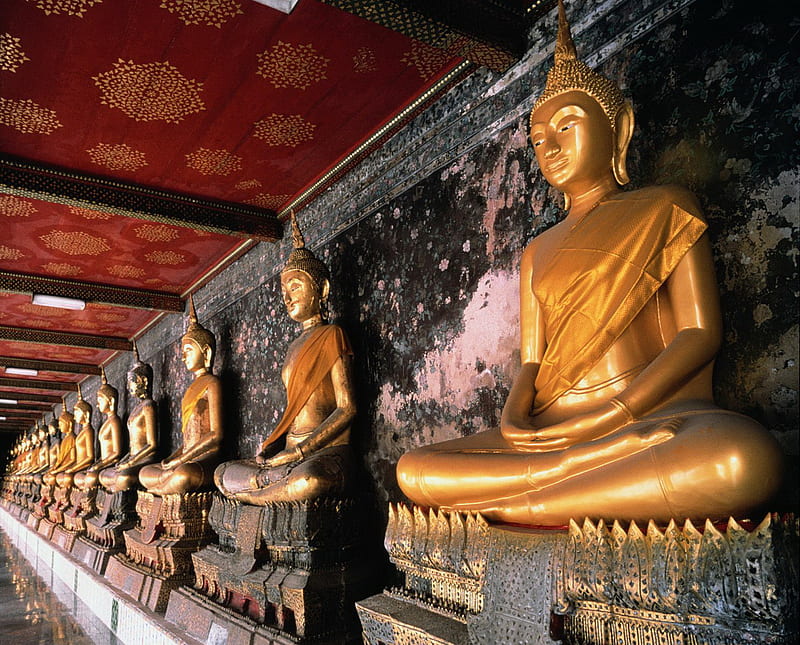 Golden Buddhas, bangkok, row of golden buddhas, thailand, HD wallpaper