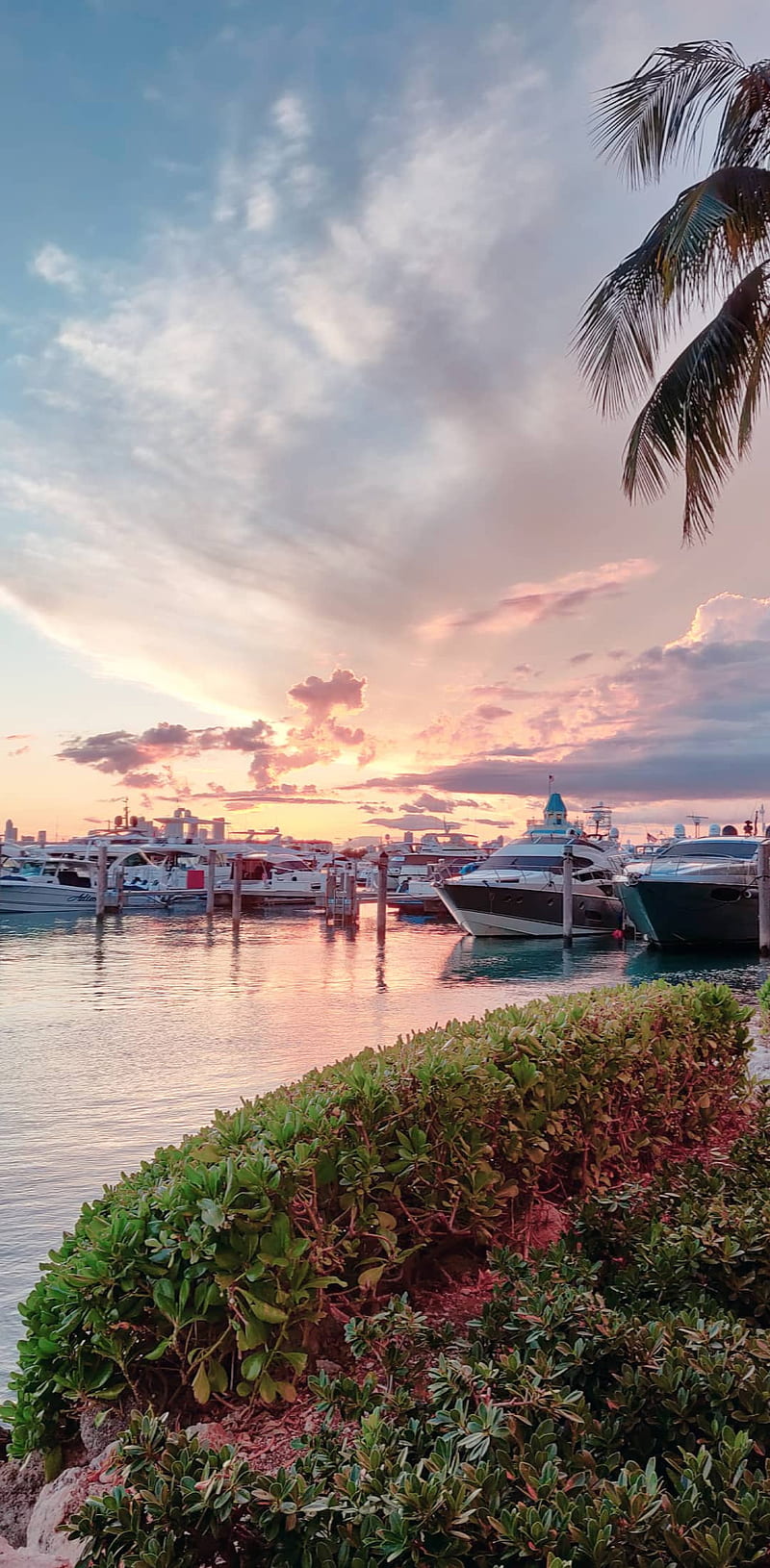 Miami Sky, boat, pretty view, south beach, sunset, yatch, HD phone wallpaper