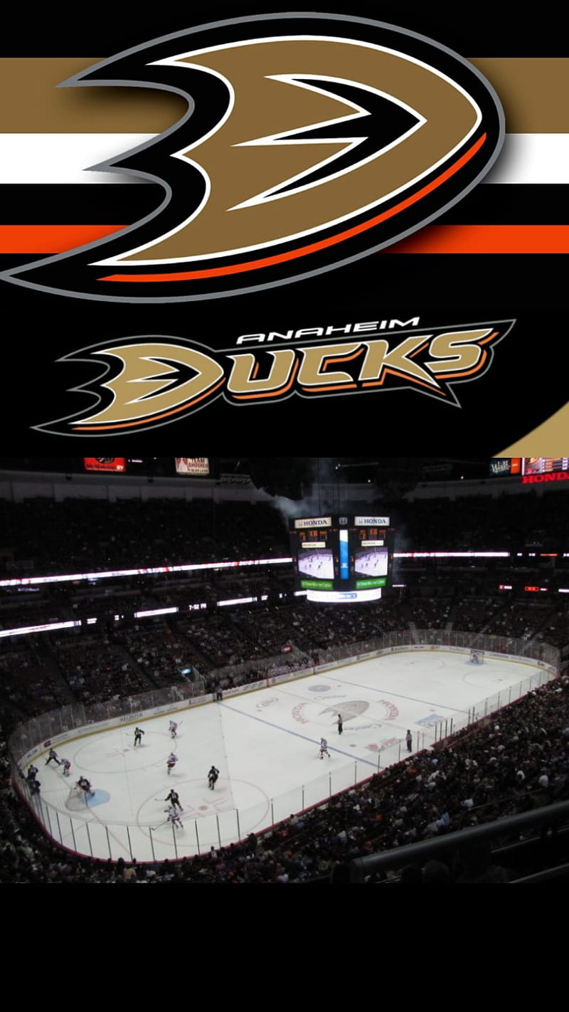 Anaheim Ducks  Stephen Clark sgclarkcom