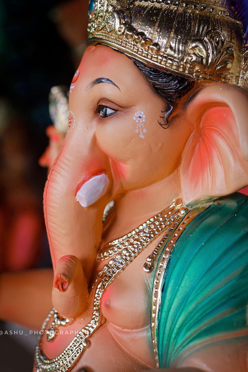 Naag Ganesha at best price in Jodhpur by Village Craftsworld | ID:  2495542330