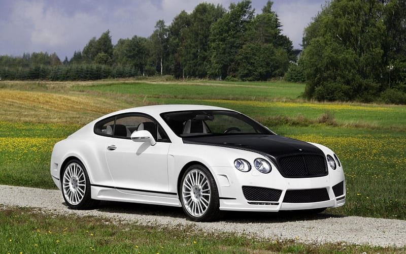 Bentley Continental GT, bentley, 2012, car, 11, 12, HD wallpaper Bentley Continental GT, bentley, 2012, car, 11, 12, HD wallpaper