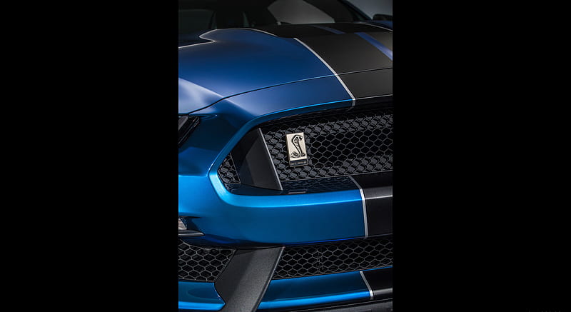 2016 Ford Mustang Shelby GT350R - Grill, car, HD wallpaper | Peakpx