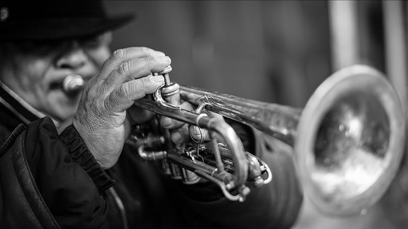 Senior Trumpetist, instrument, music, trumpet, black, man, white, HD wallpaper