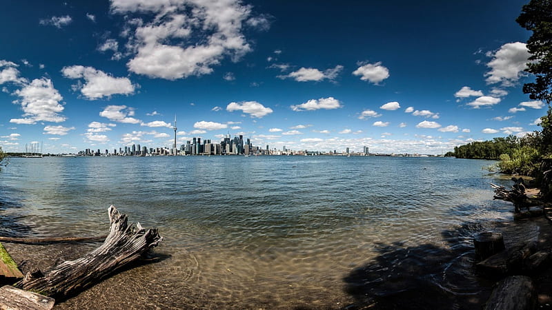 distant view of toranto across a lake, driftwood, city, scape, clouds, sky, lake, HD wallpaper