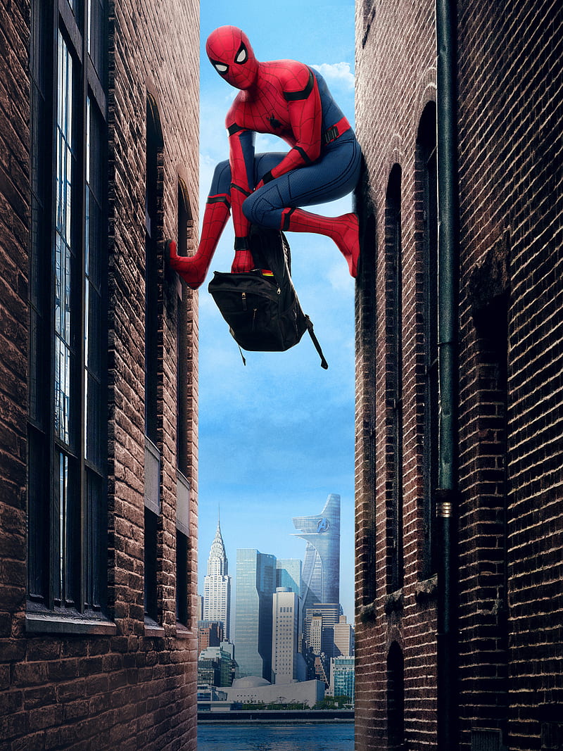 Spider-Man Homecoming (Movie), Peter Parker, movies, Spider-Man, superhero, HD phone wallpaper