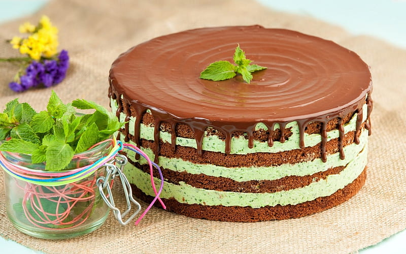 Cake, mint, green, food, chocolate, dessert, sweet, HD wallpaper