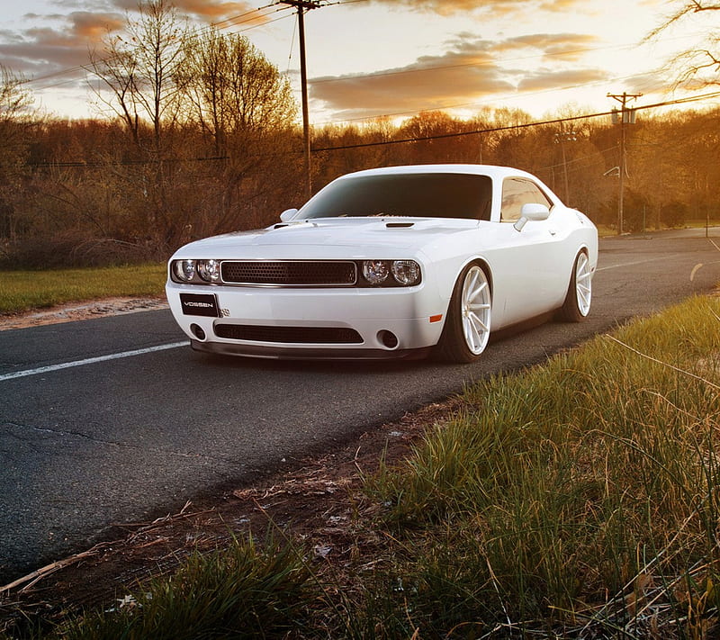 Dodge Challenger, car, road, white, HD wallpaper