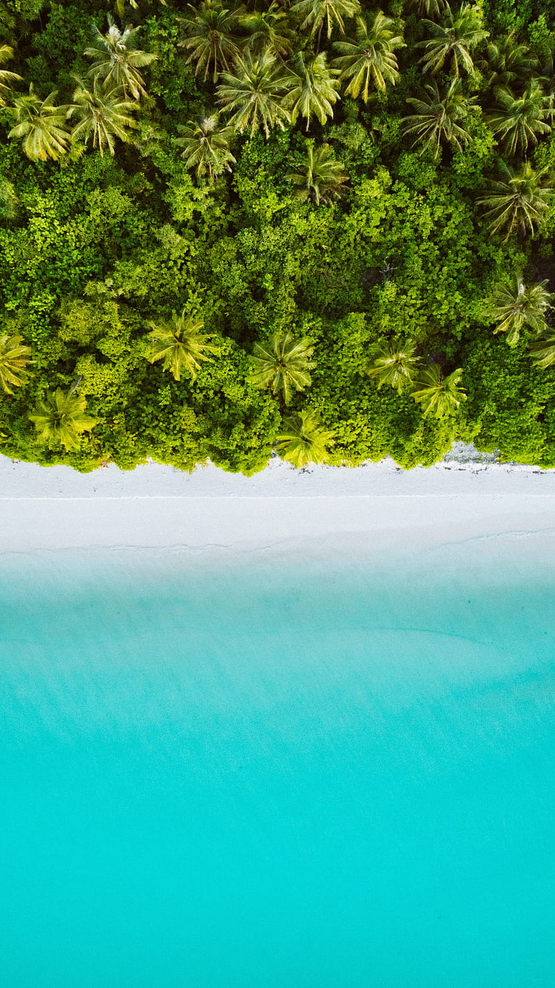 palm trees, ocean, aerial view, maldives, tropics, beach, HD phone wallpaper