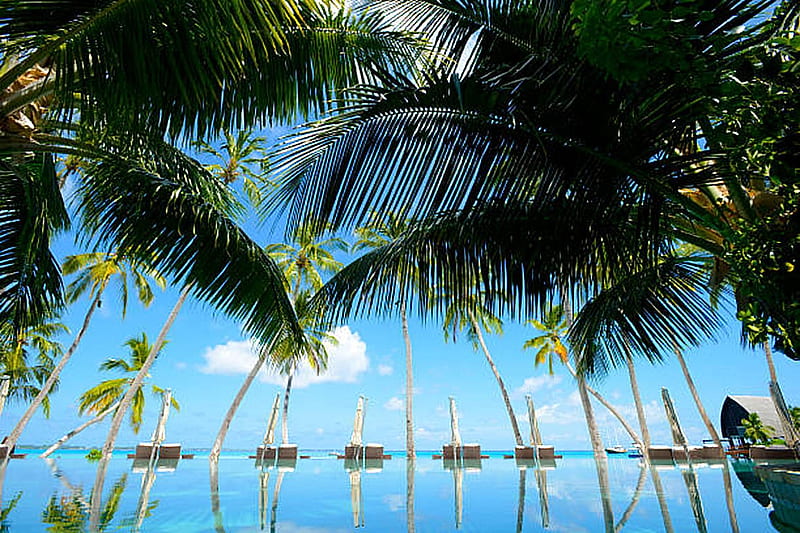 Seaside swimming pool, Ocean, Coconut trees, Vacation, Resort, Sky, HD wallpaper