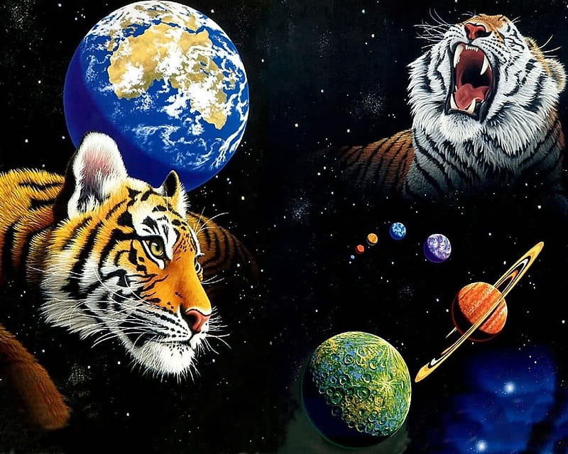 tiger-universe, 3d, cool, universe, tiger, complex, abstract, HD wallpaper