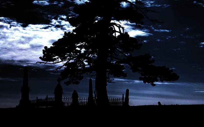 Forgotten Solitude, 3d and cg, abstract, cemetary, tree, graphy, dark, collages, night, HD wallpaper