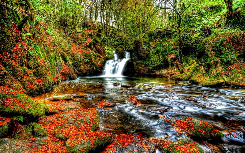 AUTUMN FOREST WATERFALLS, forest autumn, rocks, fall, autumn ...