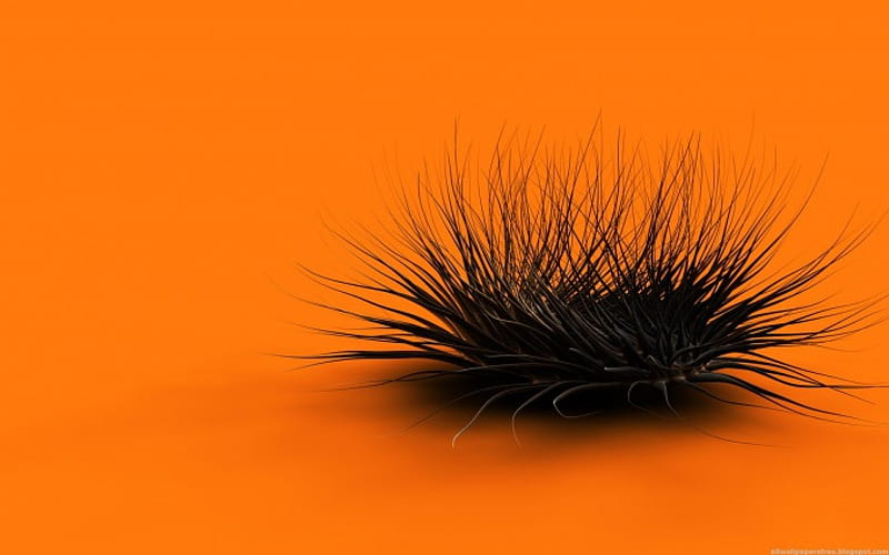 Pocupine in future, future, orange, black, abstract, thorn, porcupine, HD wallpaper