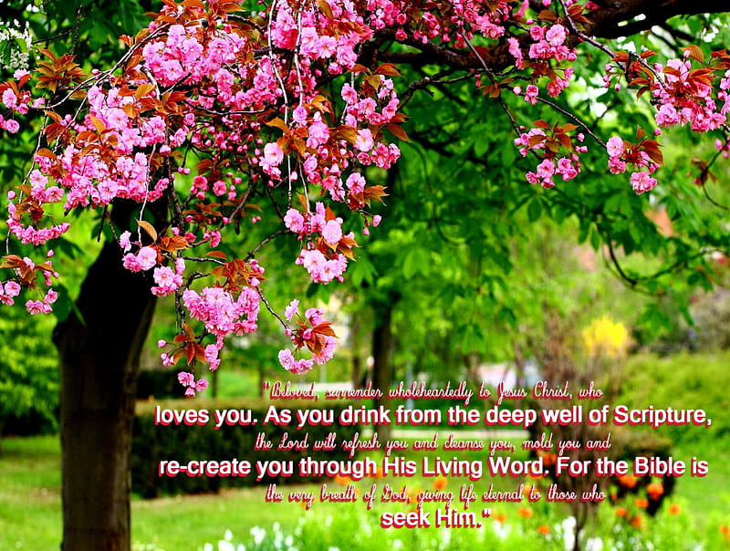 Well of..., bible verses, bonito, trees, jesus, scriptures, flowers, peaceful, nature, bible, god, holy spirit, HD wallpaper
