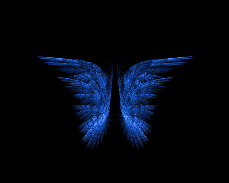 Blue Wings, blue, butterfly, wings, HD wallpaper