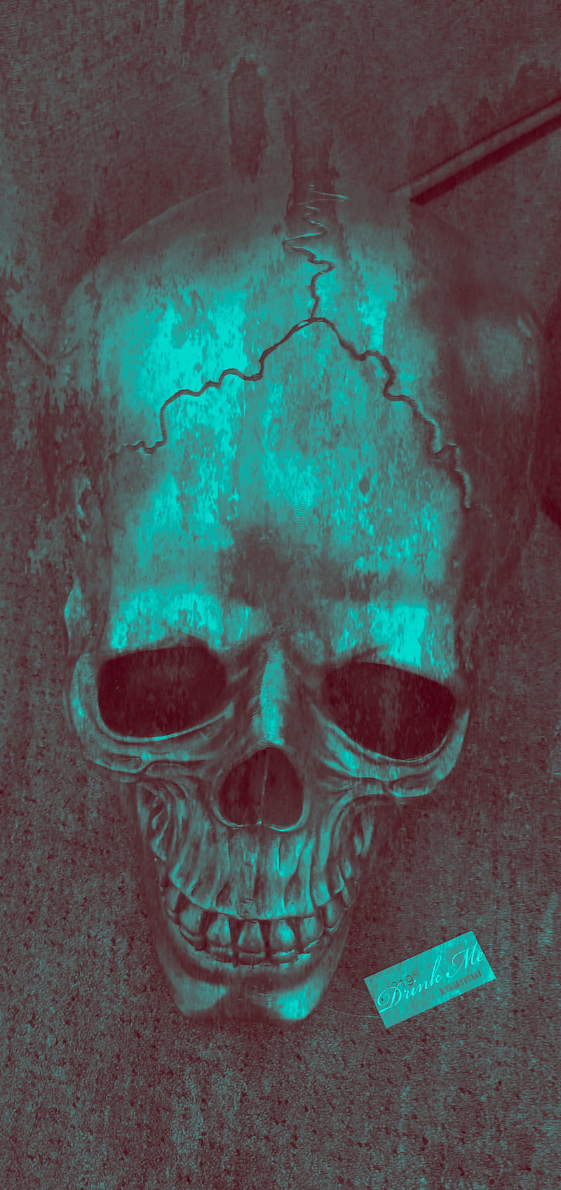 Teal skull, love, macabre, punk, red, scary, skulls, HD phone wallpaper