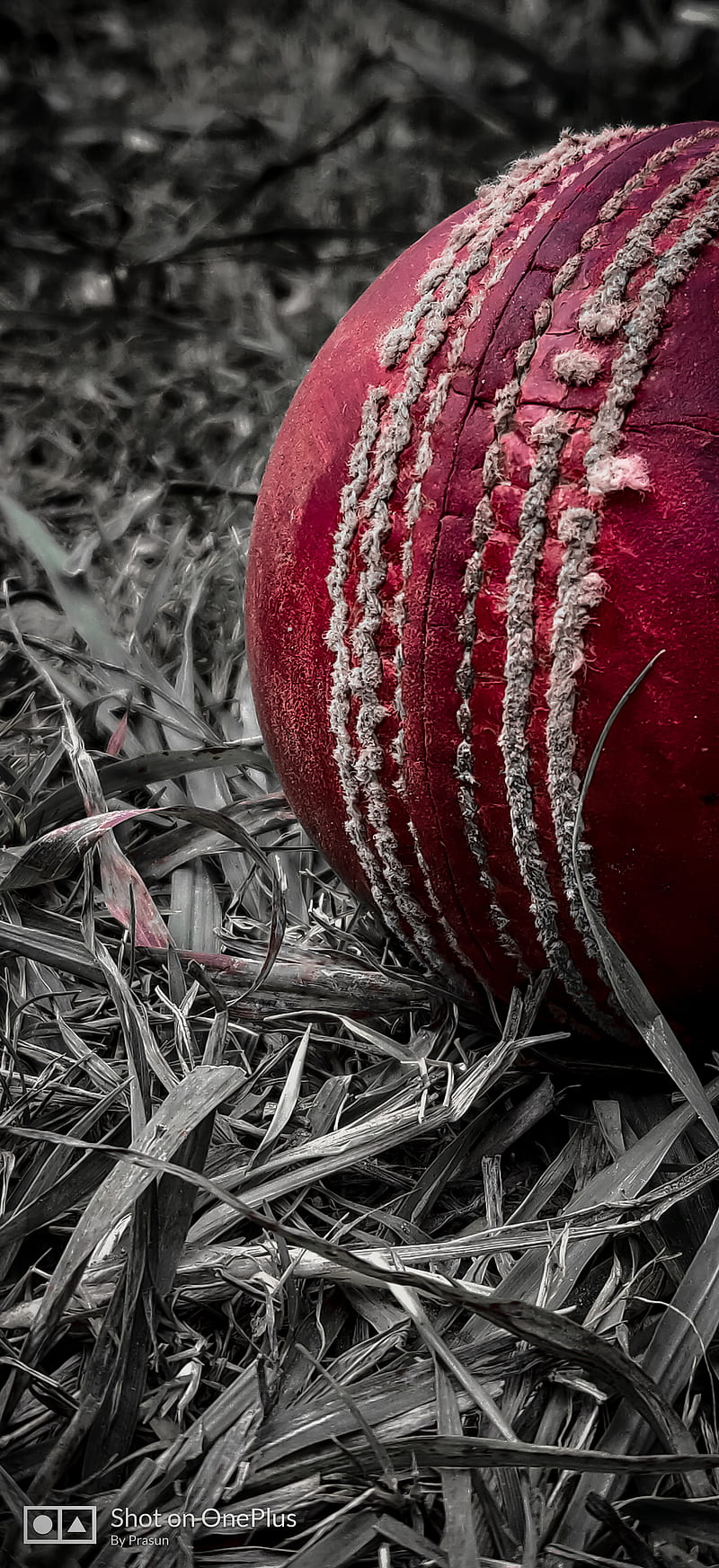 Ball, cricket, HD phone wallpaper