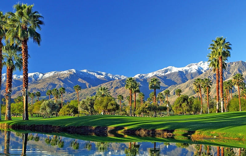Mesquite Golf Club - Palm Springs California, desert, view, arizona, course, lake, vista, Palm Springs, palm trees, California, oasis, usa, snow, mountains, golf, peaks, america, HD wallpaper