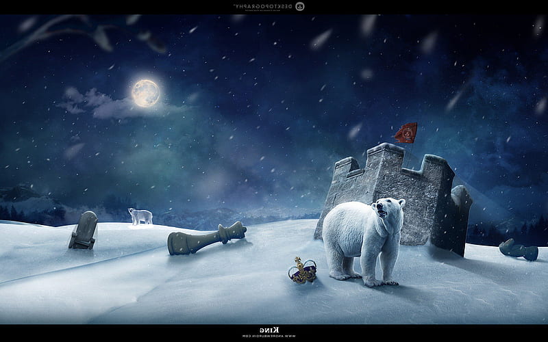 Polar Art, animals, polar, artist, HD wallpaper