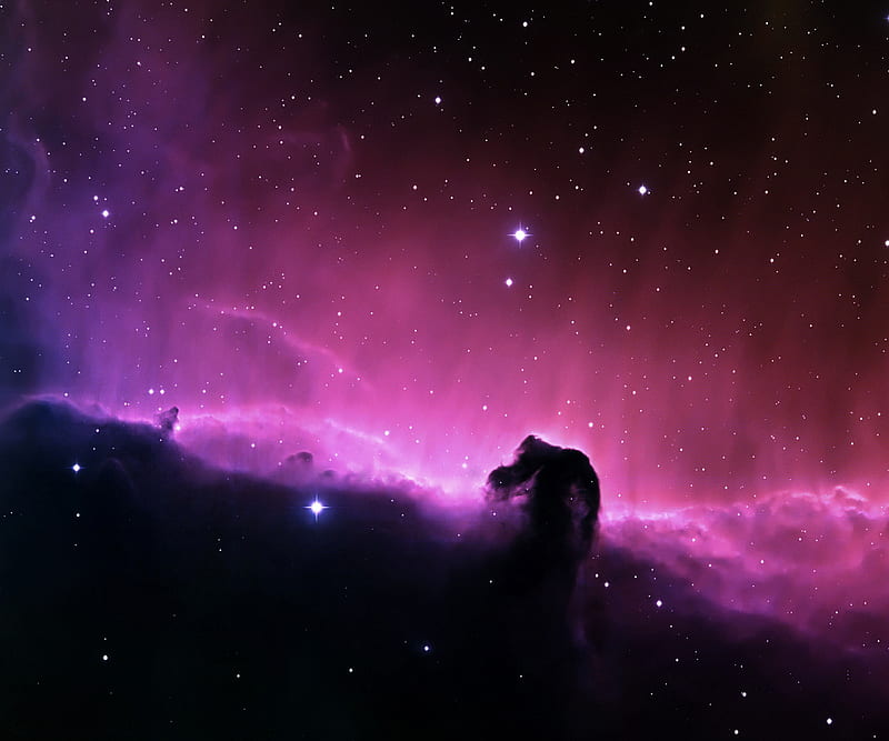 Horse Head Nebula, space, HD wallpaper