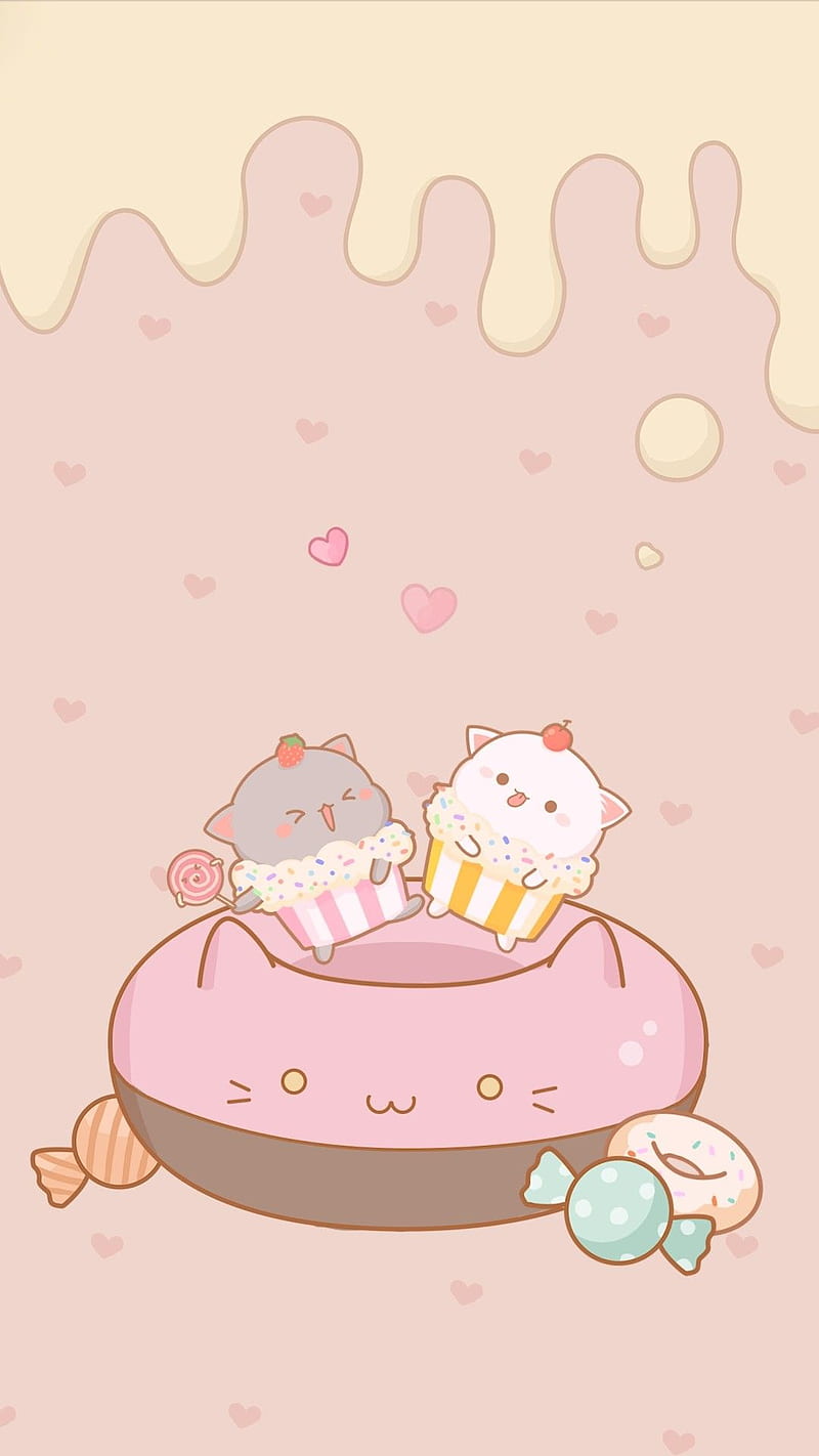 Sweet, cats, kawaii, kittens, kittys, HD phone wallpaper