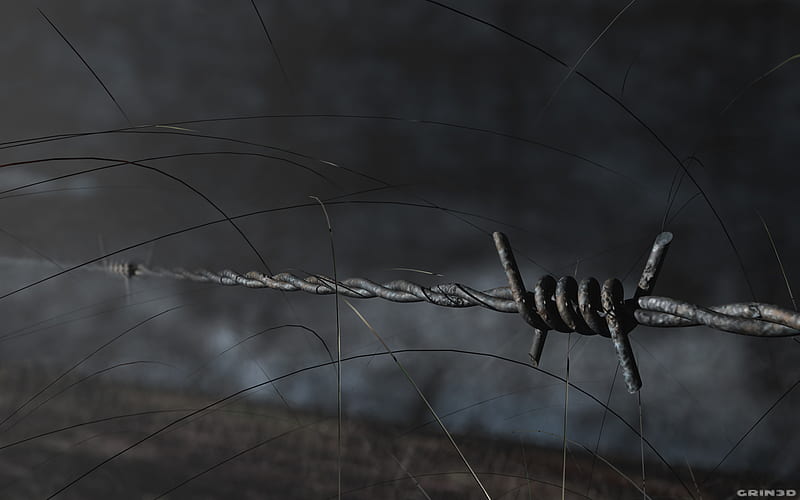 Barbed Wire, wire, HD wallpaper
