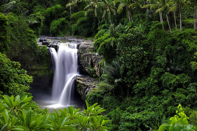 Tegenungan Waterfall, waterfall, greenery, trees, beautiful, rocks, Indonesia, Bali, plants, exotic, view, HD wallpaper