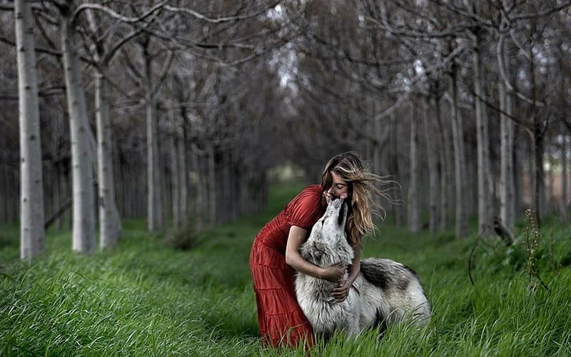love wolves for my sis Lisa (avaboo), nature, model, wolves, love, HD wallpaper