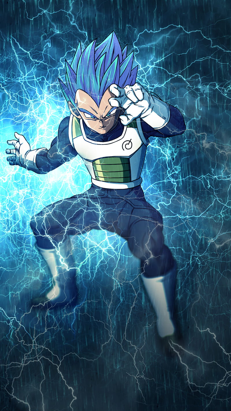 Vegeta Blue, anime, dragon ball, vegeta, HD phone wallpaper | Peakpx