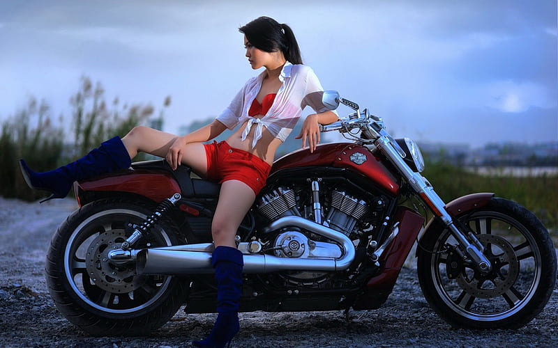Harley Davidson, girl, asian, bike, motorcycle, HD wallpaper | Peakpx