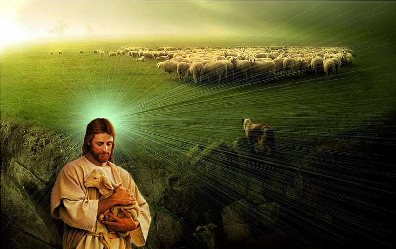 Good shepherd Jesus Christ, sheep, savior, love, shepherd, god, HD wallpaper