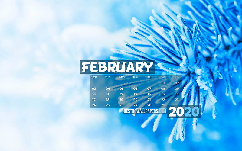 February 2020 Calendar, snowy fir , winter, 2020 calendar, February 2020, creative, winter landscape, February 2020 calendar with fir , Calendar February 2020, blue background, 2020 calendars, HD wallpaper