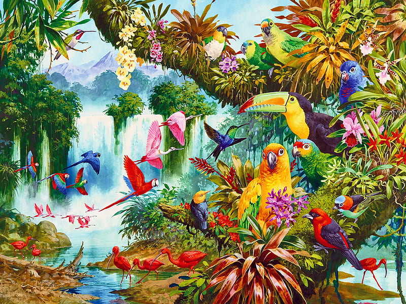 Exotic friends, colorful, art, exotic, lifs, fun, joy, paradise, waterfall, jungle, parrots, tropical, friends, HD wallpaper