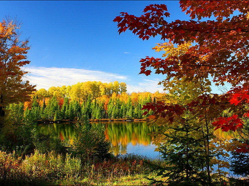 Autumn Lake, forest, autumn, calm, nature, trees, lake, HD wallpaper ...
